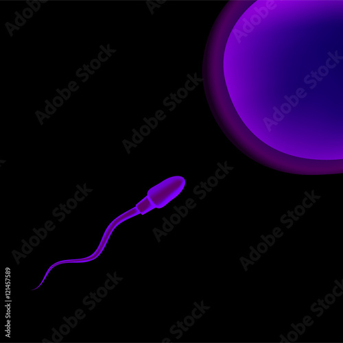 Spermatozoon sperm and ovum egg . In vitro fertilization IVF . Artificial insemination. Spermogram. Male infertility. Illustration for web or typography magazine, brochure, flyer, poster .