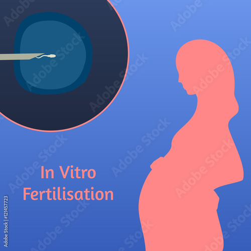 In vitro fertilization IVF . Silhouette of pregnant woman. ICSI. The ovum egg , needle and spermatozoon. Illustration for web or typography magazine, brochure, flyer, poster .