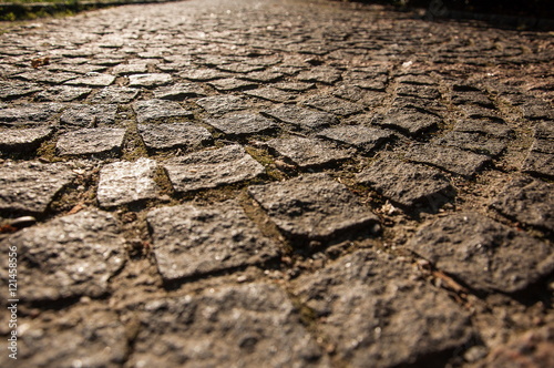 paving stone