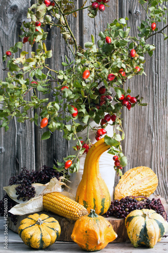 Dekoration für den Herbst mit Hagebutten,Kürbis,Mais und Holunderbeeren rustikal auf Holz