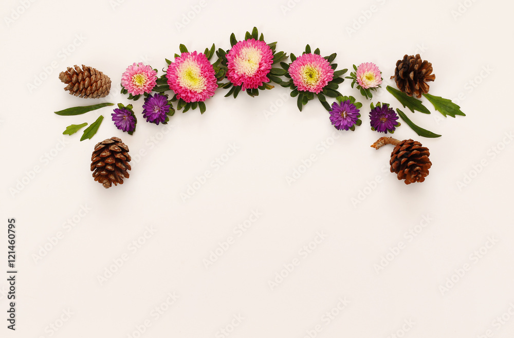 Top view of beautiful colorful flowers on white background Top view of beautiful colorful flowers on white background