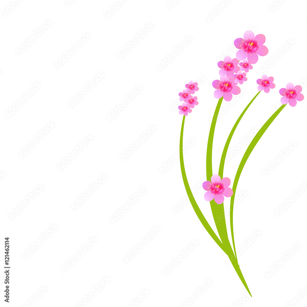 flowers flowers