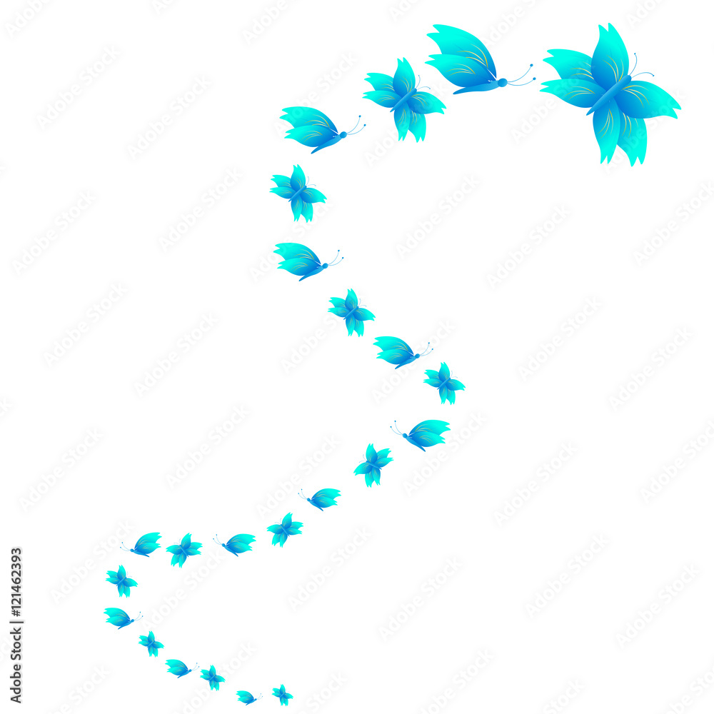 butterfly butterfly
