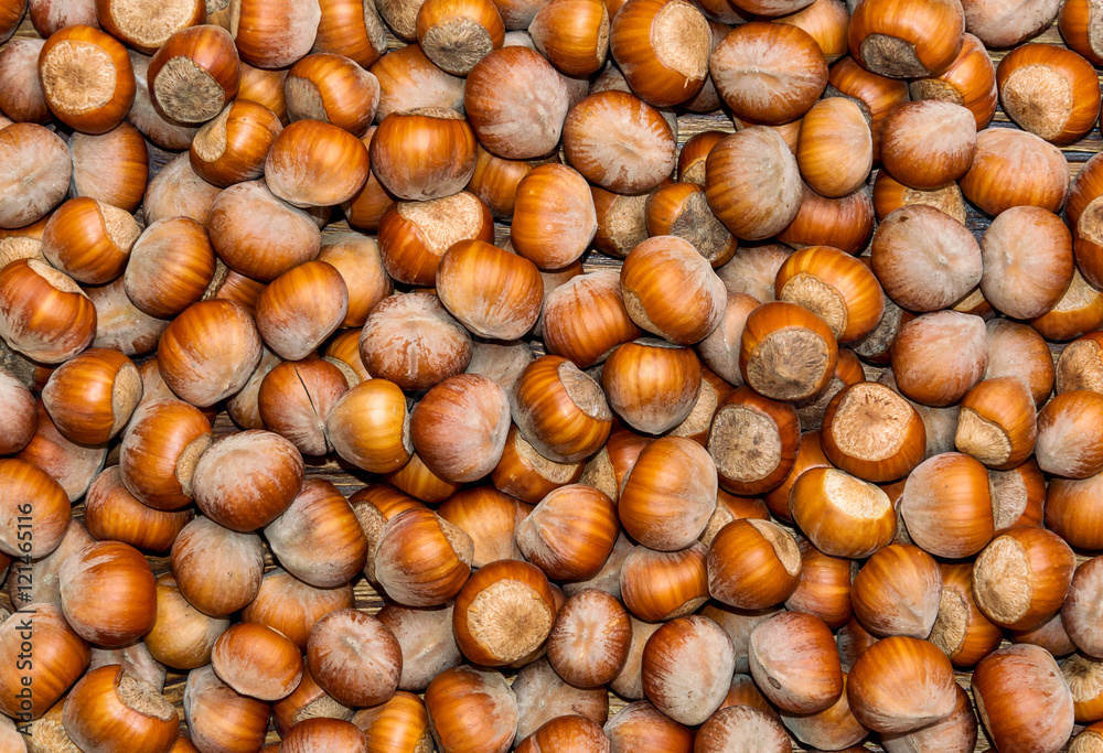 Hazelnuts as background Hazelnuts as background