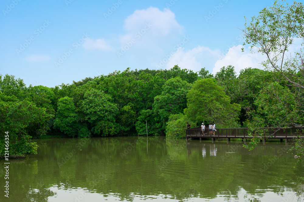 Wooden Bridge In Forest at Bang Krachao Samut Prakan, Thailand Wooden Bridge In Forest at Bang Krachao Samut Prakan, Thailand