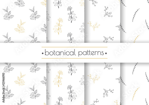 Set of vector seamless patterns with hand drawn herbs. Fabric or textile design.