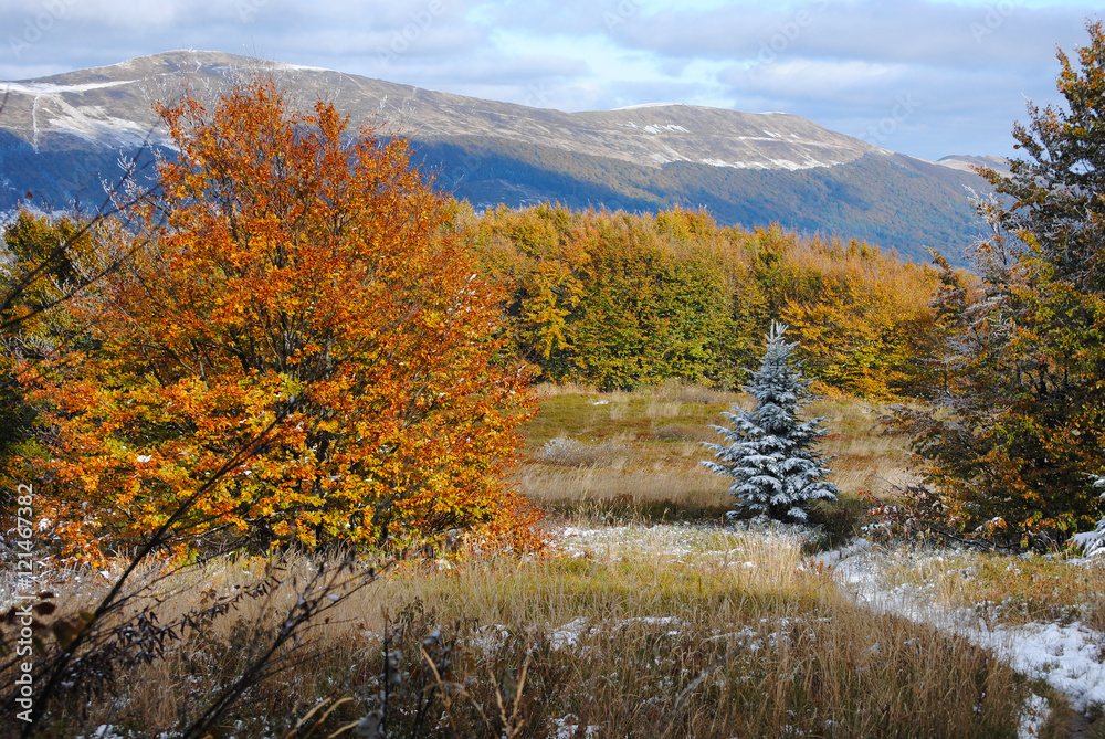 Fototapeta premium Beautiful autumn mountain landscape. Bieszczady