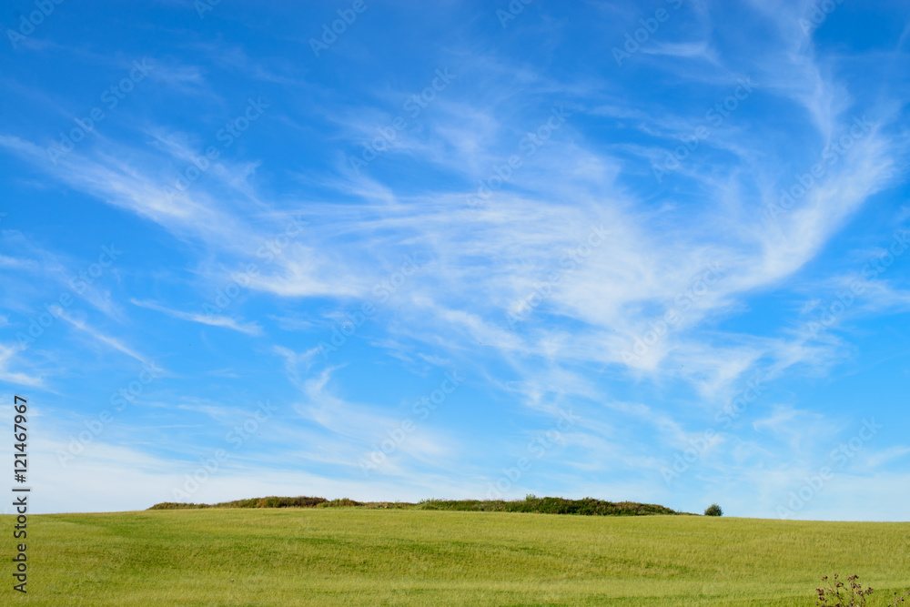 landscape, high blue sky with clouds and green field, meadow