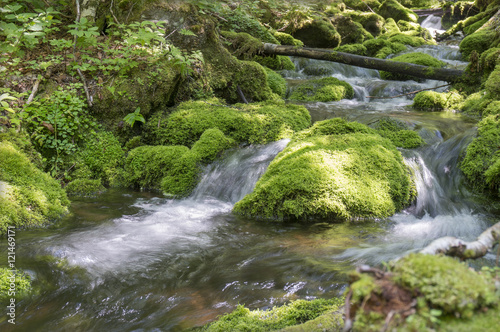 Fényképezés moss covered stones in a brook in the Mount Carleton, the highest elevation in N