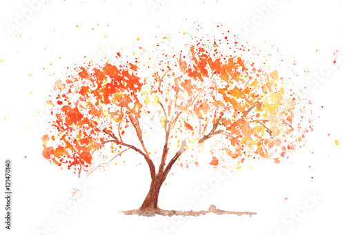 Autumn tree on white, watercolor painting