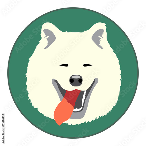 Digital vector samoyed dog face, in green circle, flat style