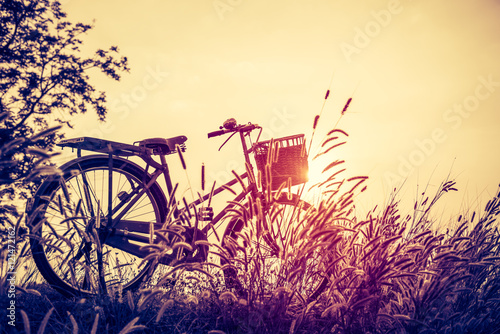 Landscape picture Vintage Bicycle with Summer grass field at sun © Looker_Studio