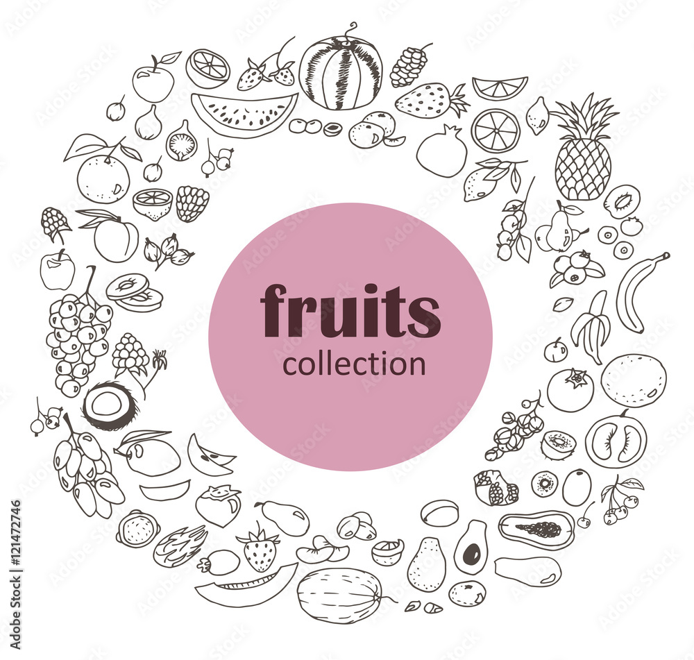 Collection of the fruits doodles, different objects: food, pineapple, grape, banana, apple, etc. Line art illustrations.