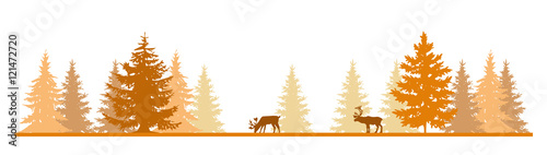 Deers In The Forest In The Fall