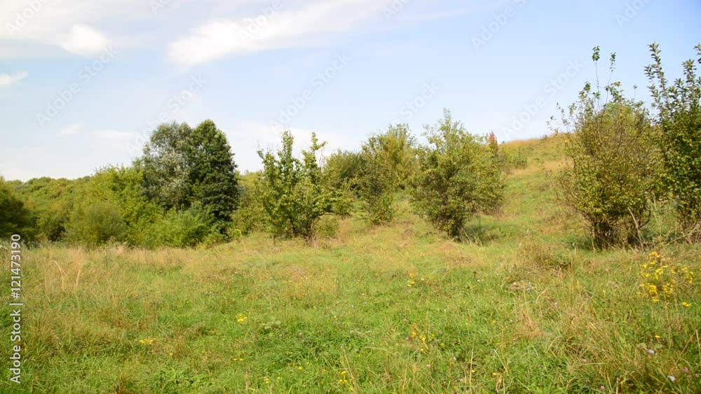 Nature of central Russia in August Nature of central Russia in August