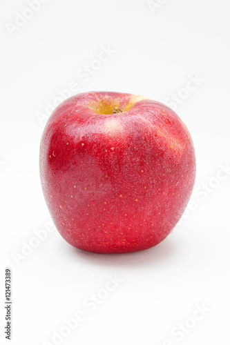The apple red on white background style