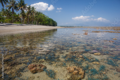 Shallow Coral Reef and Beach