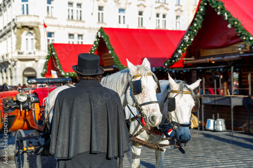 Canvas Print Coachman in a black hat and coat and white horses hitched to horse carriage waiting for tourists on Christmas Old Town Square of Prague, Czech Republic