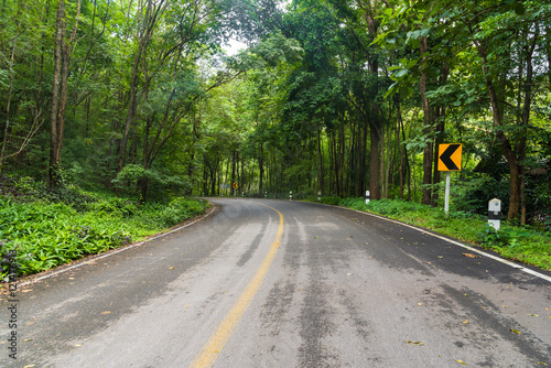 Curve road up hill in rain forest.