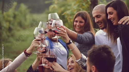 Group of friends toasting with red wine in the vineyard
