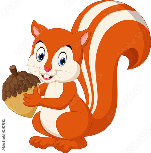 Cute squirrel cartoon