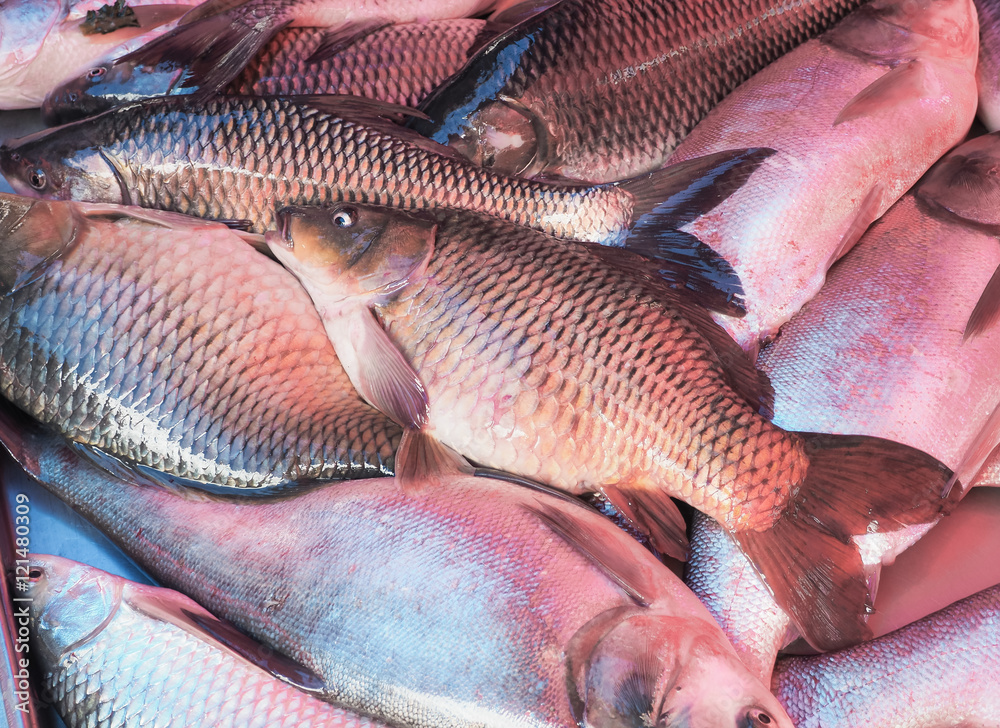 Fresh fish display in the market, Bangkok, Thailand 