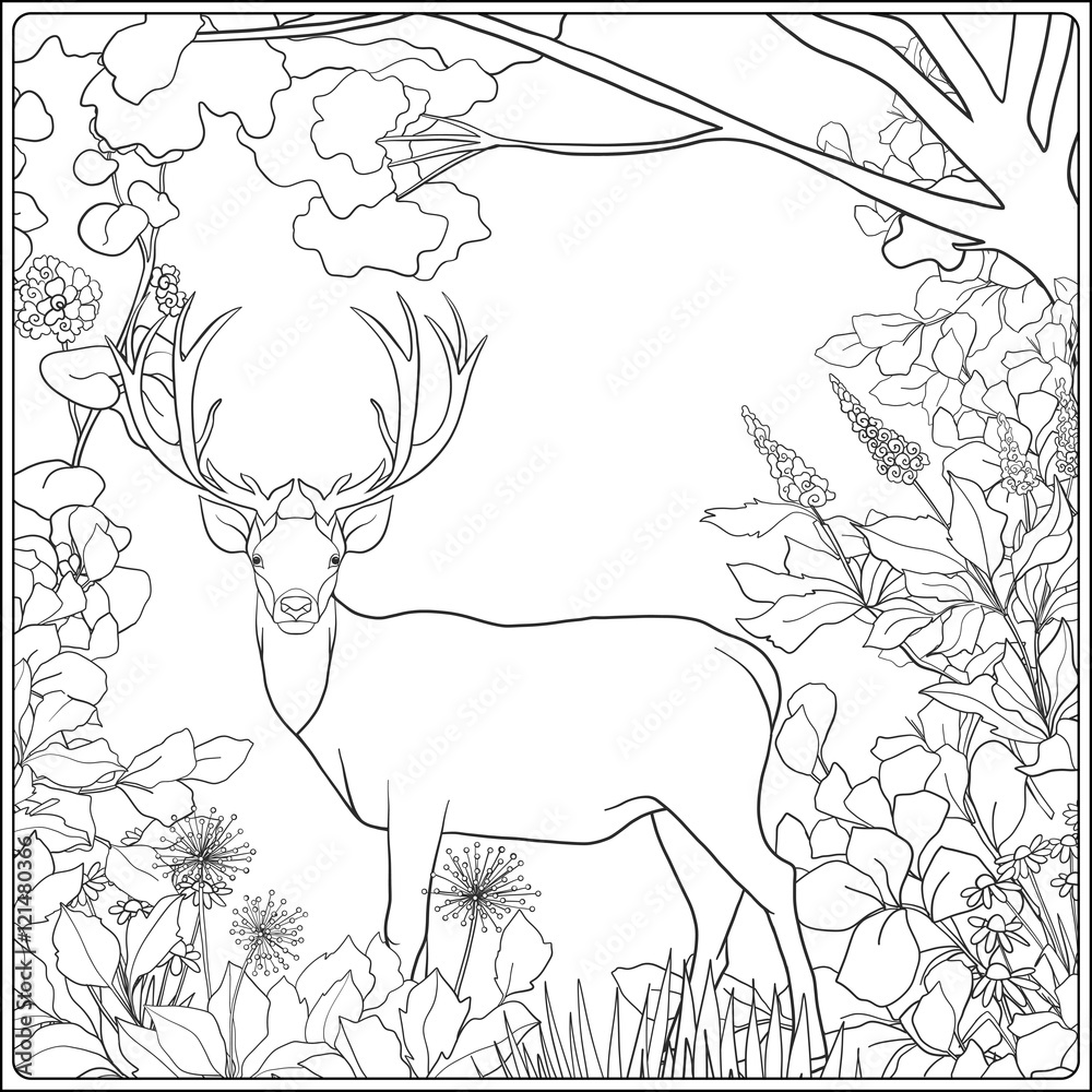 Coloring page with deer in forest. Stock Vector | Adobe Stock