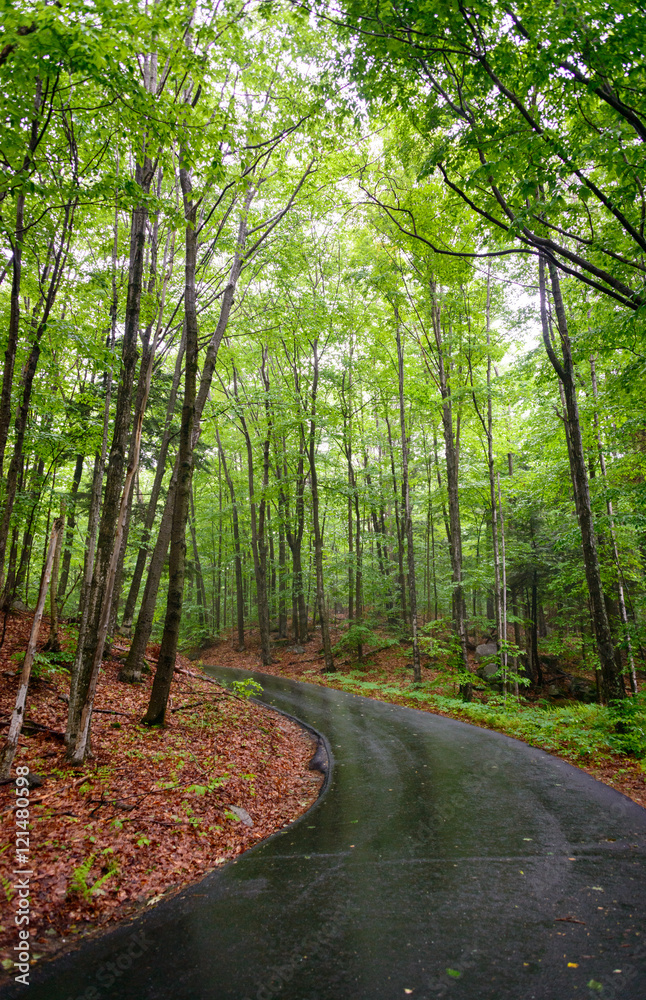 Franconia Notch State Park Franconia Notch State Park