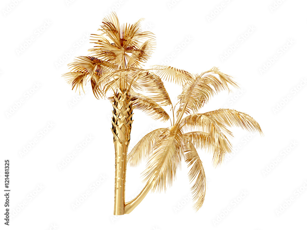 Coconut palm trees. 3D rendering