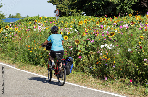 lady cyclist on a cycleway lined with wildflowers