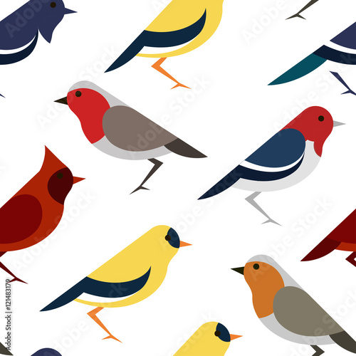 Seamless pattern with colorful birds.Vector textile print.Textile texture