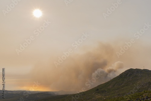 Incendios forestales.