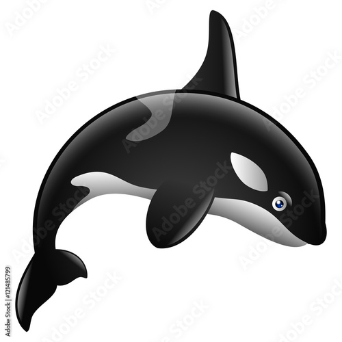 Cute killer whale cartoon
