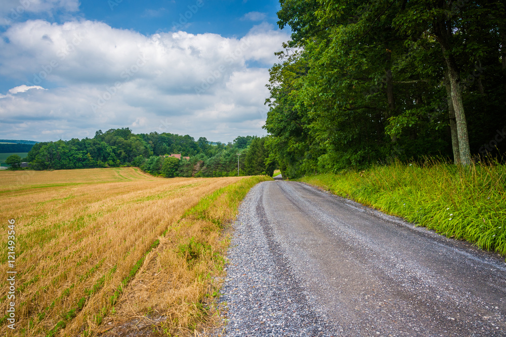 Dirt road and fields in rural Baltimore County, Maryland.