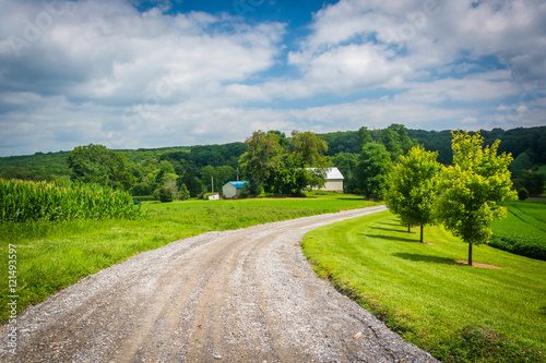Dirt road and fields in rural Carroll County, Maryland.