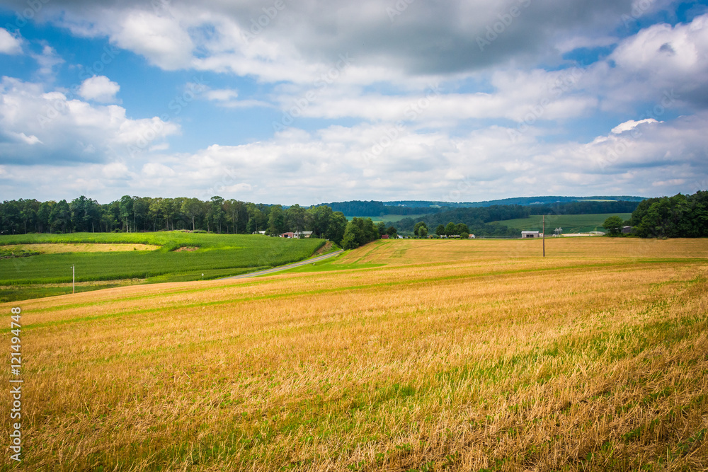 View of fields in rural Baltimore County, Maryland.