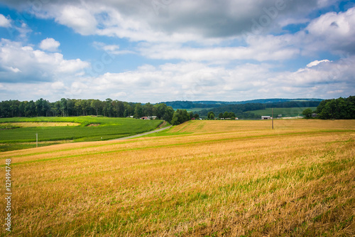 View of fields in rural Baltimore County  Maryland.