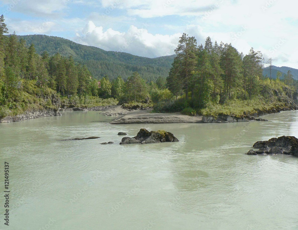 Fototapeta premium Wide river Katun with islands in the Altai Mountains