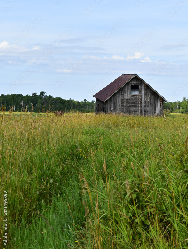 Obraz premium Rustic cabin in a meadow