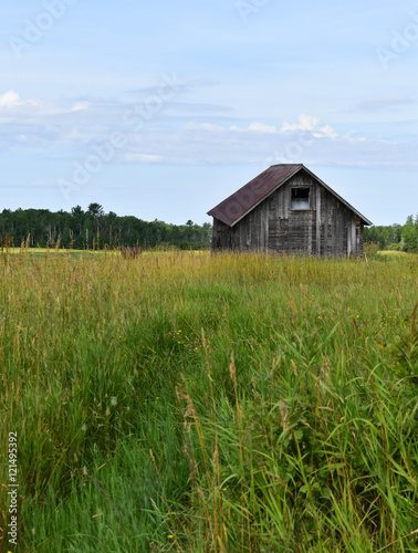 Rustic cabin in a meadow