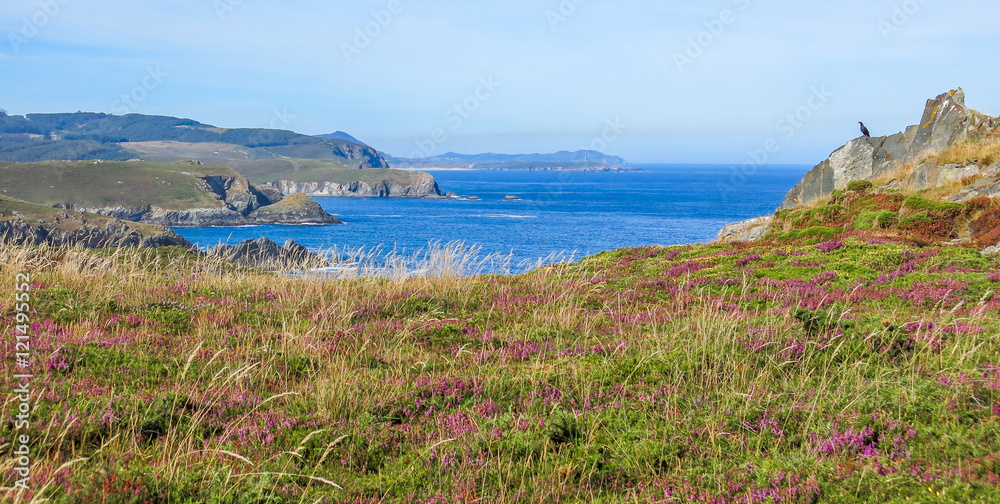Fototapeta premium Scenic cliffs view in San Xiao, small village near Cedeira, Galicia, northern Spain