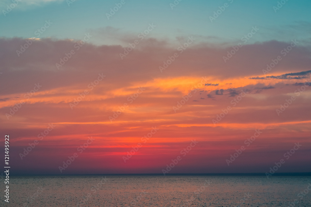 Beautiful sunset over the Black Sea in the summer.The bird flying over water. Sea landscape. Nature composition