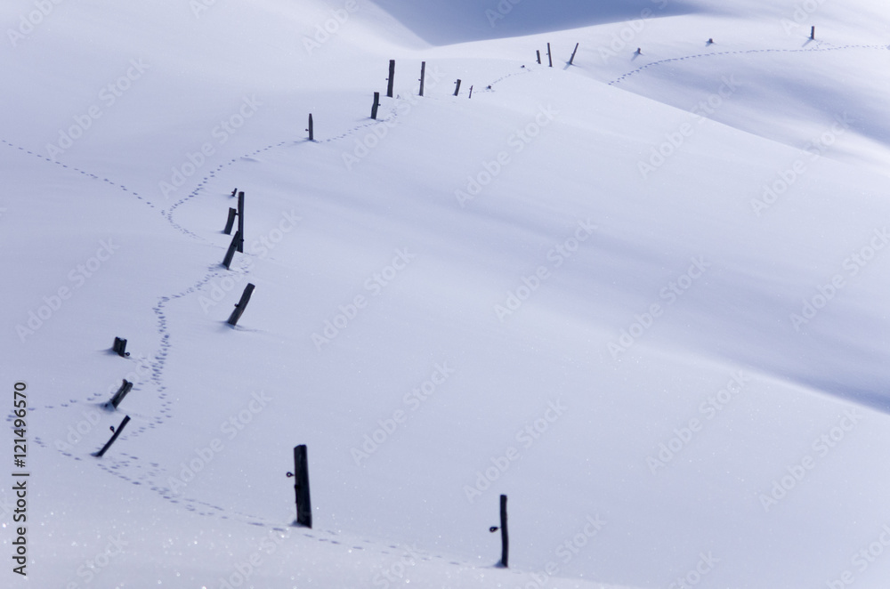 Traces dans un champ de neige Traces dans un champ de neige