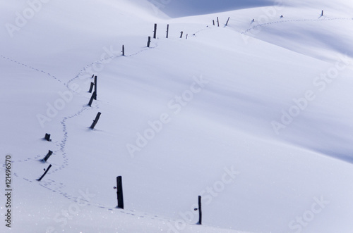 Traces dans un champ de neige © MARC MEINAU