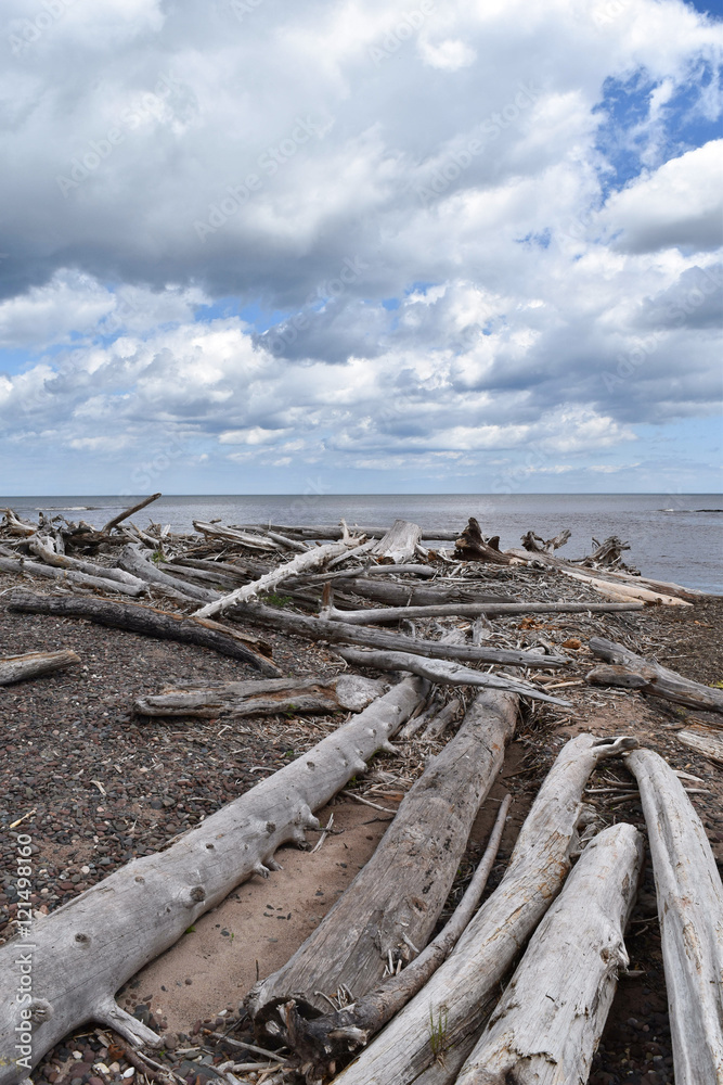Drift wood along the Lake Superior shore Drift wood along the Lake Superior shore