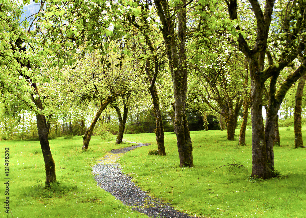 Pathway in Green Park