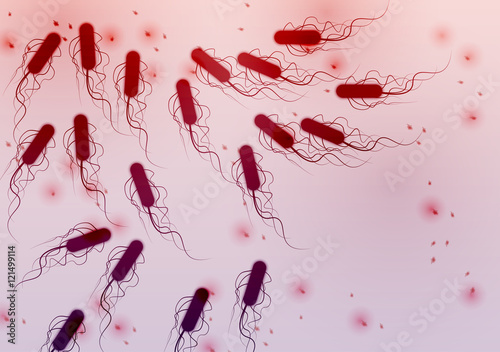 Group of E. coli Bacteria - Vector Illustration photo