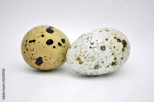 Диетические яйца перепела на белом фоне