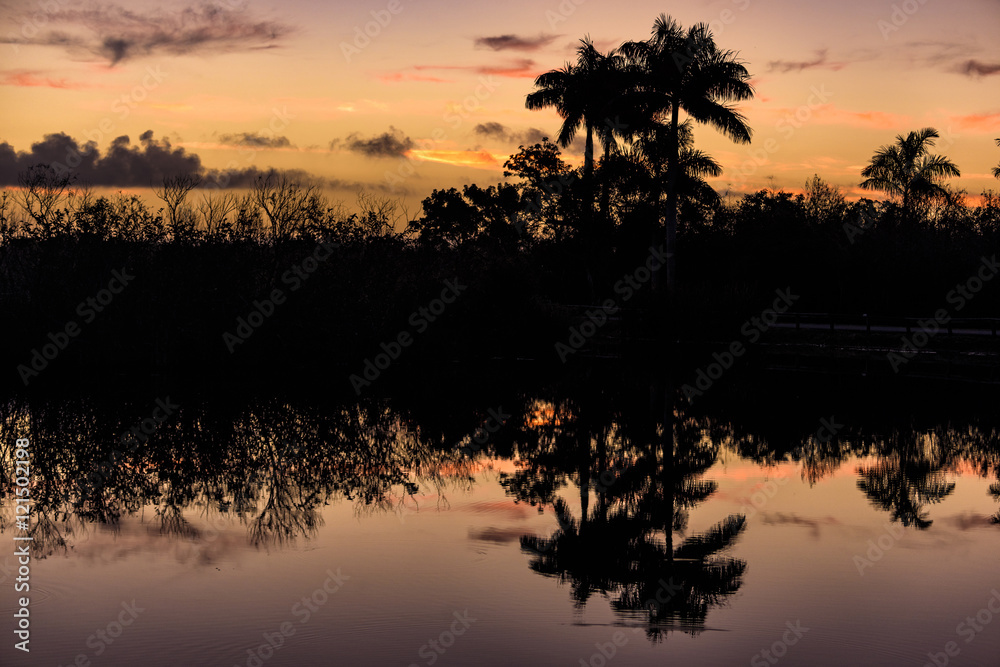 Sunrise at Royal Palm, Everglades National Park, Florida