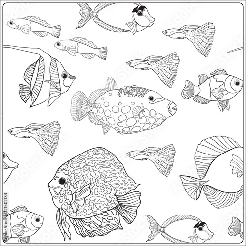 Pattern with decorative corals and sea or aquarium fish. Anti stress coloring book for adult. Outline drawing coloring page.